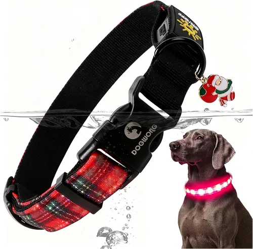 Miniatura 12 de DOGWONG Collar de perro con luz LED para Halloween, recargable e impermeable, collares de perro iluminados para otoño para caminar por la noche