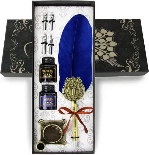 TIANREN Juego de tinta de pluma estilográfica, Juego de Pluma y Tinta, Pluma de Caligrafía Antigua con 4 Plumillas Reemplazables, 2 Frascos de