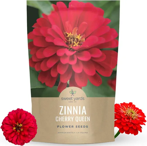 Zinnia Cherry Queen - Paquete grande de 4 onzas - 16,000 semillas de flores para plantar - Zinnia elegans