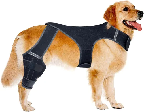 Miniatura 2 de Rodillera para perro para recuperación, soporte ajustable para piernas traseras, alivio del dolor en las articulaciones de la cadera para perros