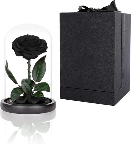 Rosas preservadas, rosas negras en cúpula de cristal, medianas, flores preservadas para el día de la madre, regalos para mujeres