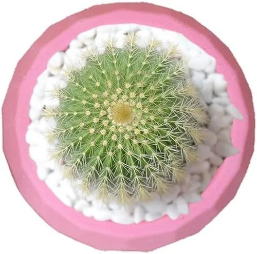 Miniatura 4 de Molde pequeño de silicona para maceta, molde de arcilla de cemento de cerámica, maceta de plantas suculentas, molde de resina epoxi, portavelas