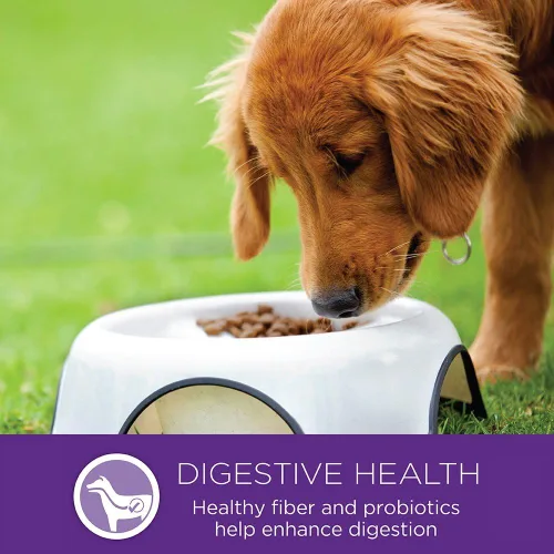 Miniatura 12 de Wellness Complete Health Alimento seco natural perro de raza pequeña., Magenta