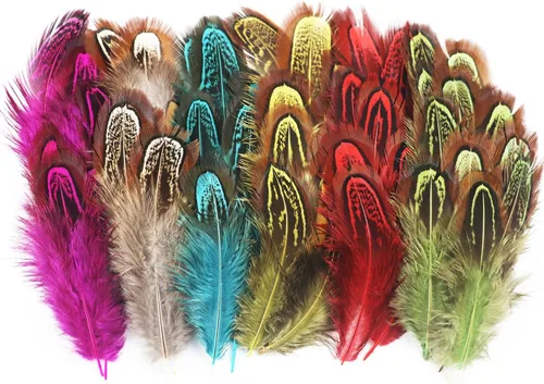 300 plumas de faisán de colores mixtos de 2 a 3 pulgadas, plumaje para manualidades, ropa, costura, accesorios de decoración