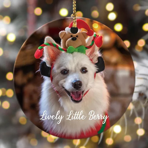 Miniatura 12 de Adornos de Navidad personalizados con foto 2025, nombre personalizado para perro y gato, adornos para árbol de Navidad, cachorros, perros, gatos