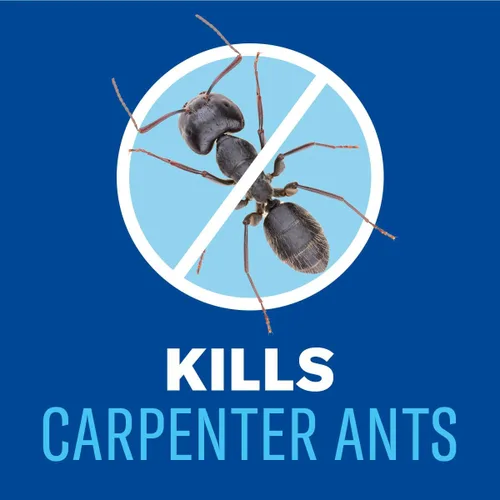 Miniatura 11 de BioAdvanced para hormigas y termitas Killer Plus, concentrado, 1 galón