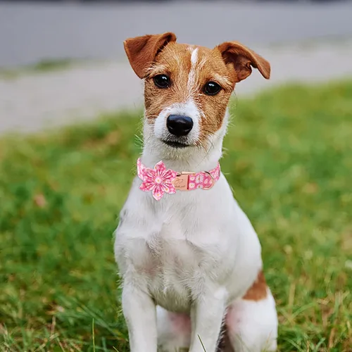 Miniatura 3 de Daisy - Collar de perro con corbatín de flores, suave y cómodo, collar de perro de algodón ajustable duradero para perros pequeños, medianos