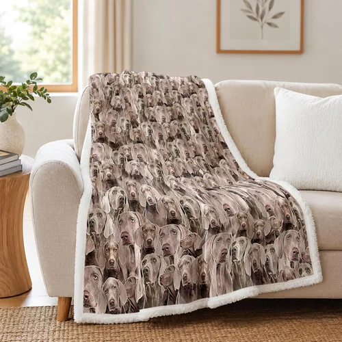 Miniatura 44 de BlessLiving Golden Retriever - Manta con patrones densos de perros, manta de forro polar Sherpa para sofá cama, manta suave y acogedora