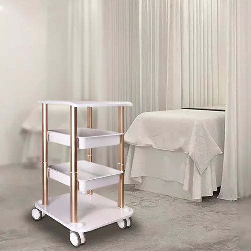 Miniatura 2 de Carrito de salón facial con ruedas, carrito de 4 capas - Carrito rodante, bandeja de carrito de salón de belleza con ruedas plateadas Capacidad