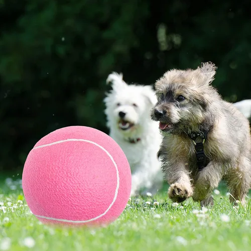 Miniatura 7 de Pelotas de tenis para perros grandes de 9.5 pulgadas, paquete de 2 pelotas de juguete para mascotas para perros pequeños, medianos y grandes