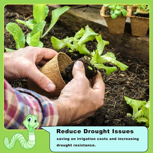 Miniatura 6 de Doter - Fertilizante orgánico de fundición de gusanos, 1.1 libras, fertilizante All Nature para jardinería, tomate, fresa, flores y hierbas