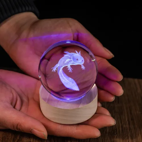Miniatura 6 de Bola de Cristal 3D Axolotl de 60mm Axolotl Lámpara Nocturna de Juguete Regalos para Mujeres Esposa Novia Mamá Pareja Figura de Axolotl para Niñas