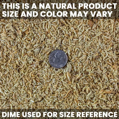 Miniatura 5 de San Francisco Bay Brand Camarones Mysis liofilizados – Alimento para peces de primera calidad, alimento para peces tropicales, comida