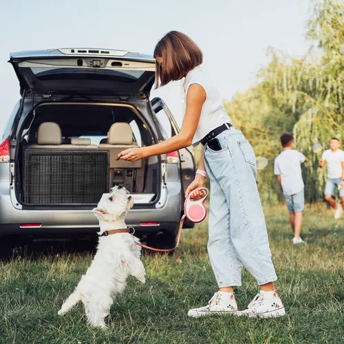 Miniatura 7 de Jaulas de doble puerta para perros de 36 pulgadas, jaula de alambre plegable de metal para perreras con bandeja para perros pequeños, medianos