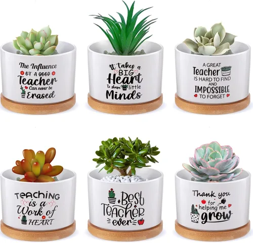 Miniatura 11 de 6 piezas de juego de regalos con versículos de la Biblia cristiana, gracioso juego de macetas para plantas suculentas con bandeja de bambú, maceta