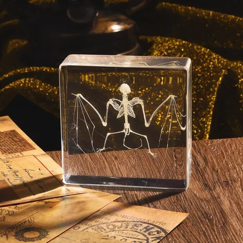 Miniatura 7 de Espécimen de esqueleto de murciélago real en resina para educación científica en el aula, gran regalo para fanáticos de la taxidermia, cráneo