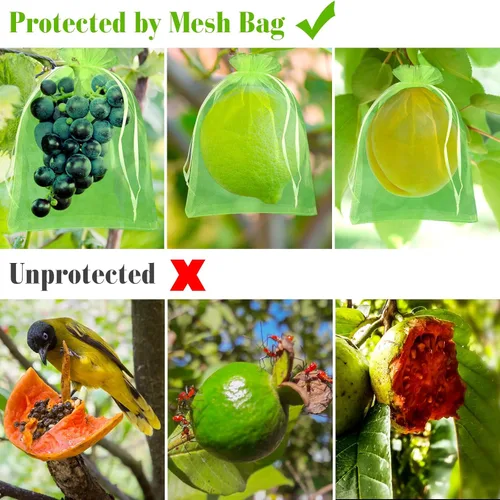 Miniatura 5 de Morcheiong 60 bolsas de protección de 6 x 8 pulgadas, red reutilizable para árboles frutales, malla de jardín con cordón (verde)