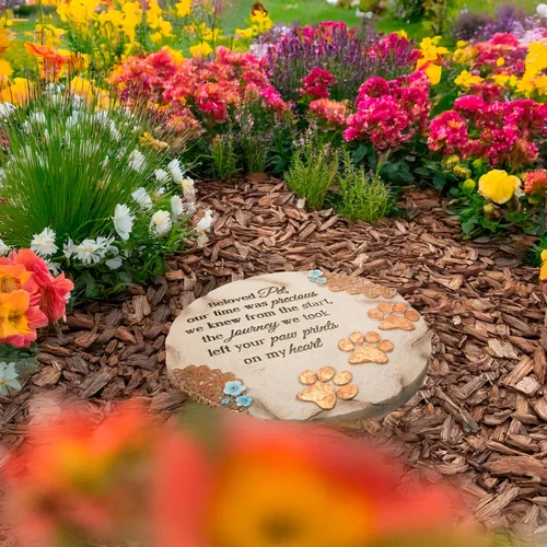Miniatura 6 de Pavilion Gift Company 19059 Light Your Way - Piedra conmemorativa de jardín, 10 pulgadas, querida mascota