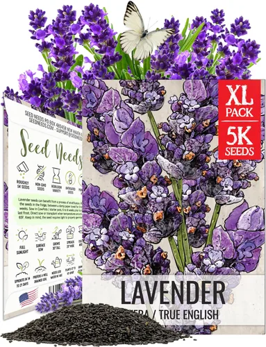 Miniatura 15 de Seed Needs Semillas de albahaca para plantar hierbas de albahaca tailandesa, reliquia sin OMG y sin tratar, cultiva un jardín de hierbas culinarias
