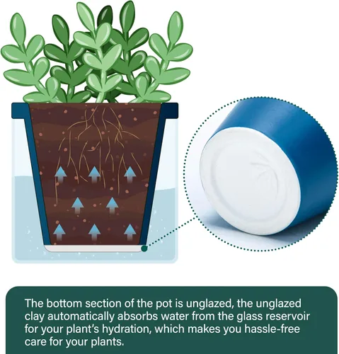 Miniatura 5 de D'vine Dev Maceta de Diseño de Riego Automático de 4 Pulgadas para Plantas de Interior, Maceta de Terracota Azul con Vaso Cilíndrico de Vidrio