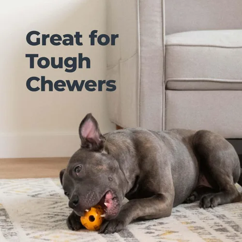 Miniatura 5 de Oxyfresh Juguete dental para masticar para perros, el mejor juguete de limpieza de dientes de perro, un simple juguete de mordida y cepillo que