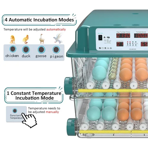 Miniatura 2 de Incubadoras para incubar huevos 120, incubadora de huevos de gallina con giro automático de huevos y pantalla de humedad, control de temperatura