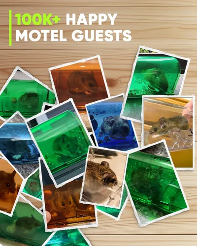 Miniatura 8 de Trampas para Ratones Motel Mouse Humanas Sin Matar de Captura Viva y Liberación 4 Pack - Reutilizable, Fácil de Usar y Limpiar, Liberación Sin