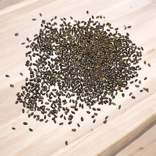 Miniatura 5 de 1000 semillas de menta - Hierba verde fresca para jardín de cocina y plantación de contenedores, variedad de crecimiento rápido