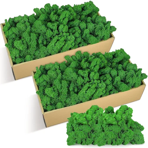 Jadive 1.32 libras de musgo preservado, 21.2 onzas, musgo de reno preservado verde, a granel, kit decorativo artificial para manualidades,