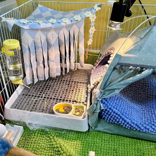 Miniatura 6 de Oncpcare Caja de arena de conejillo de indias de 15 x 12 pulgadas con rejilla, bandeja de arena para animales pequeños para jaula, bandeja de baño