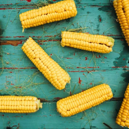 Miniatura 2 de Golden Bantam - Maíz dulce de 8 filas – 4 onzas a granel (~425 semillas) – Variedad de reliquia amarilla, cultivadas en Estados Unidos, semillas