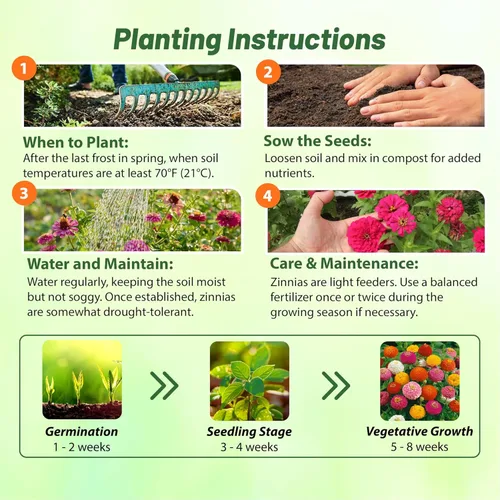 Miniatura 4 de Outsidepride - Zinnia Elegans, planta anual, Lilliput Flower Seed Mix, mezcla de semillas de flores para plantar, 1 libra