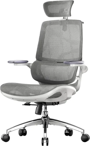 Miniatura 9 de SIHOO M59AS - Silla de oficina ergonómica, silla de escritorio con reposabrazos abatibles 3D, silla de computadora con diseño de respaldo doble