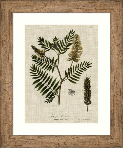 Amanti Art Framed Wall Art Print 24x20 Linen and Leaves III by Vision Studio, Flowers Wall Art, Vintage Decor, Small Poster Painting Artwork for