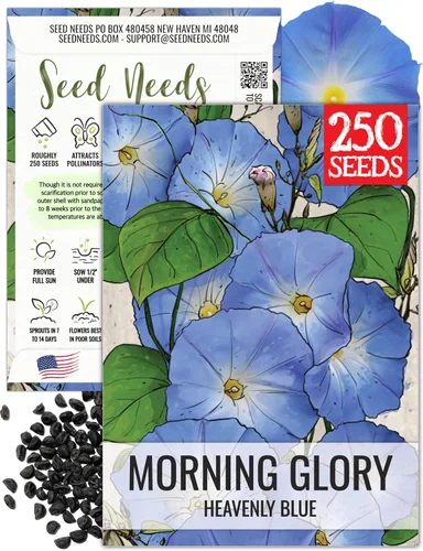 Miniatura 7 de Seed Needs Milky Way Morning Glory - Semillas para plantar enredaderas con flores, reliquia y escaladores polinizados abiertos para crear una cerca