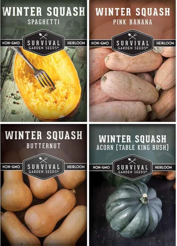 Paquete de variedad de calabaza de invierno – 4 tipos autóctonos para plantar: Butternut, Acorn, Pink Banana y Spaghetti – Vegetales de jardín sin