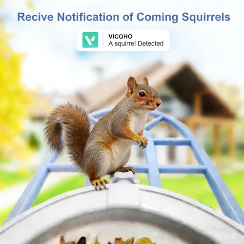 Miniatura 2 de Alimentador de ardillas con cámara alimentado por energía solar, cámara alimentadora de pájaros con IA para identificar especies de aves, casa