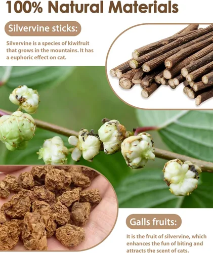 Miniatura 2 de Tocirelo Juguetes Masticables para Gatitos para la Dentición - Paquete de 6 Palitos Naturales de Silvervine para Gatos, Juguete de Plumas de Gato