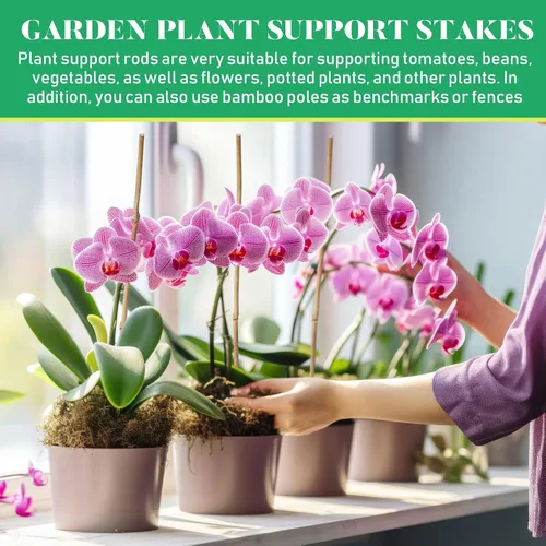 Miniatura 6 de Suclain Juego de 100 estacas de bambú para plantas trepadoras, estacas de bambú resistentes para plantas trepadoras, tomates, frijoles, flores