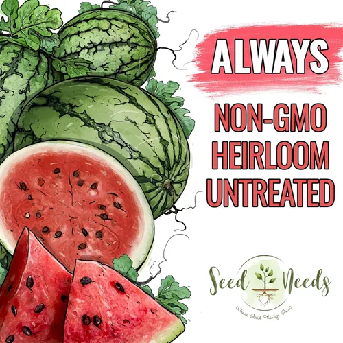 Miniatura 4 de Seed Needs Semillas de sandía para plantar frutas, semillas de melón sin OMG y agua sin tratar para plantar un jardín cultivado en casa al aire