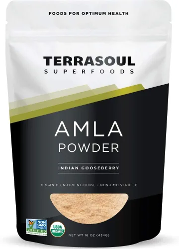 Terrasoul Superfoods Polvo orgánico de bayas Amla (Amalaki), 16 onzas, rico en vitamina C antioxidante | Apoya la inmunidad