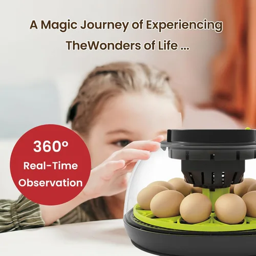 Miniatura 6 de Incubadoras para incubar huevos incubadora de 12 huevos con giro automático de huevos y control de humedad, vela de huevo, reposición automática