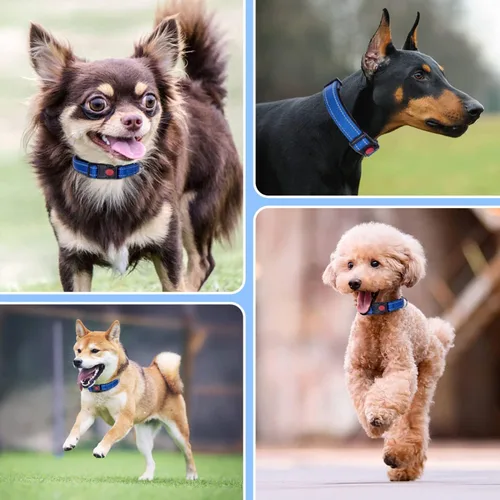 Miniatura 6 de Nobleza - Collar para perros grandes, collar reflectante ajustable para perros con cierre de seguridad y hebilla de liberación rápida, collar