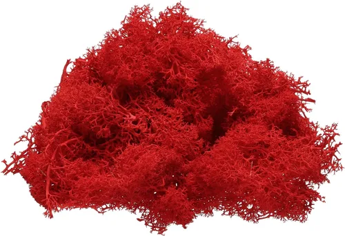 Miniatura 9 de uxcell Musgo de reno preservado, musgo falso de 4 onzas para manualidades, musgo seco artificial para decoración, manualidades, terrarios, plantas