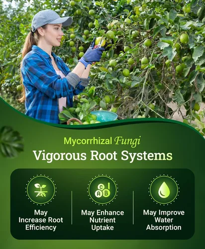 Miniatura 5 de FoxFarm Happy Frog - Fertilizante de cítricos y aguacate, con certificación OMRI, nitrógeno de liberación lenta, calcio y azufre para árboles