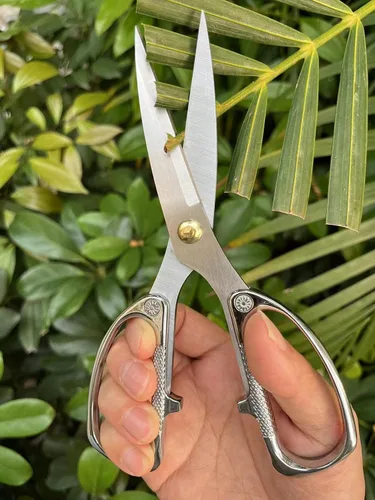 Miniatura 4 de Tijeras para plantas de interior, tijeras para recortar brotes, Japón SK5 Tijeras florales de acero inoxidable, flores, hierbas y cortadores