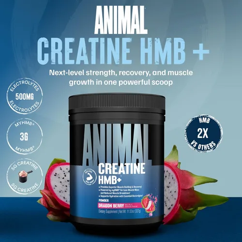 Miniatura 2 de Animal Creatina HMB en Polvo – 3g myHMB + 5g Creatina con Electrolitos para Recuperación y Energía Diaria – Sabor Dragon Berry, 30 Porciones