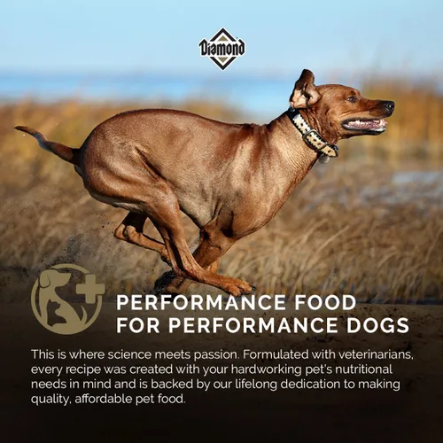 Miniatura 5 de Diamond Alimento seco para perros adultos de alta energía 24/20 para perros altamente activos, deportivos y de trabajo, bolsa de 50 libras