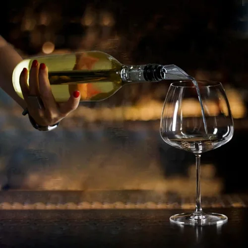Miniatura 5 de Enfriador de vino pequeño enfriador de vino 3 en 1 de acero inoxidable enfriador de botellas de vino enfriadores de vino sin hielo para botellas
