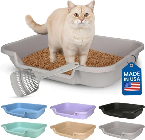Miniatura 54 de KittyGoHere - Caja de arena para gatos mayores, sartén pequeña con cuchara jumbo de mango largo, caja de arena para gatos de entrada baja, ligera